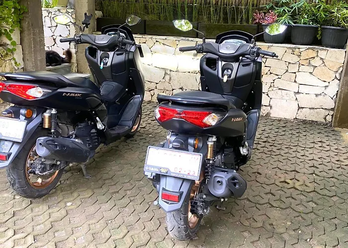 Mandox Bali