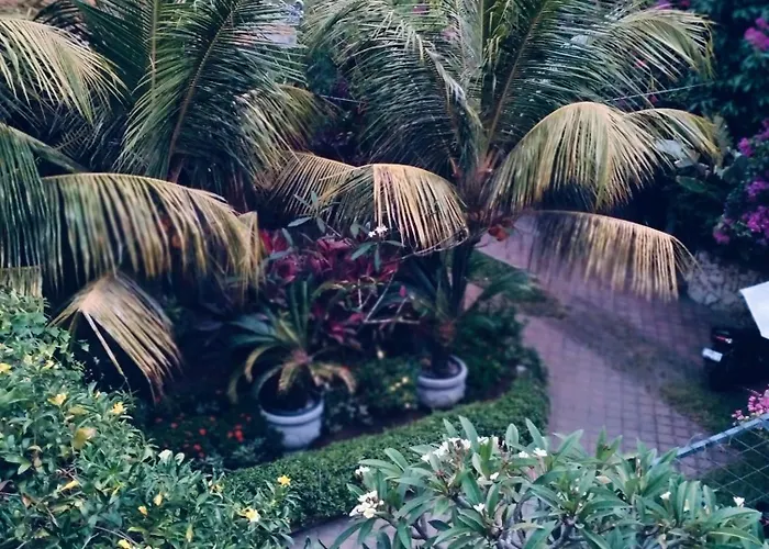 Mandox Bali Nusa Dua (Bali)